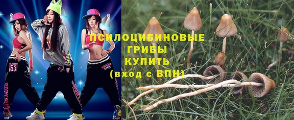 гидра Краснотурьинск