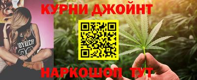 гидра Гатчина