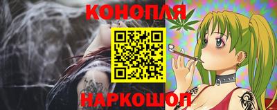 гидра Гатчина