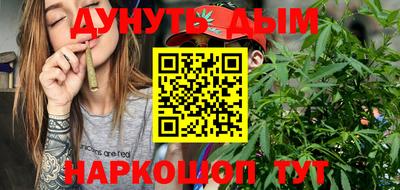 гидра Гатчина