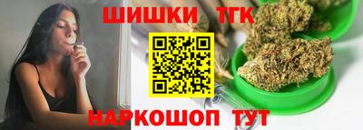 гидра Гатчина