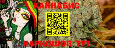 гидра Гатчина
