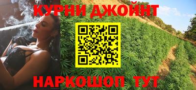 гидра Гатчина