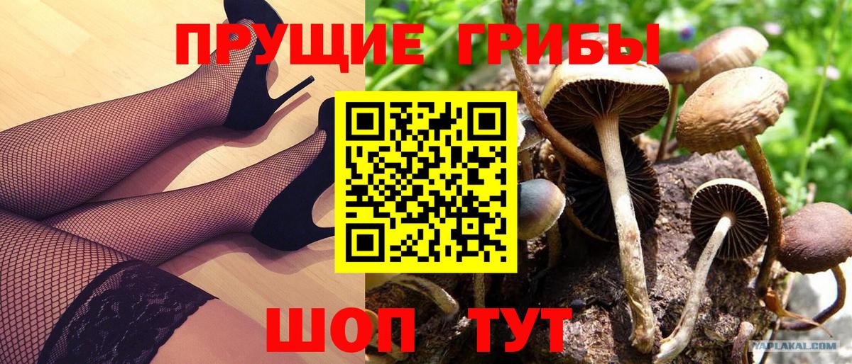 Североморск  Псилоцибиновые грибы Cubensis  Вход с VPN  Галлюциногенные грибы ЛСД 